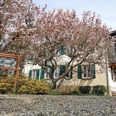 La Tirelire Bed and Breakfast Cosswiller Eksteriør billede
