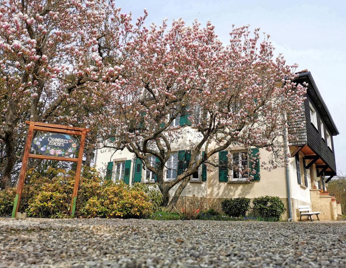 La Tirelire Bed and Breakfast Cosswiller Eksteriør billede