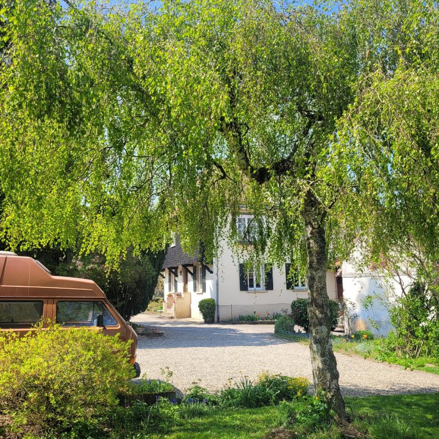 La Tirelire Bed and Breakfast Cosswiller Eksteriør billede